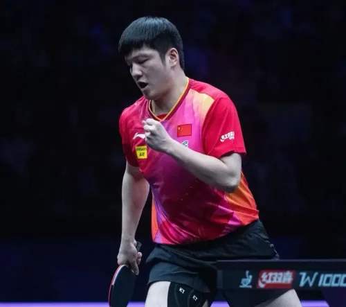 Chinese Table Tennis Icons Fan and Chen Withdraw from Global Rankings