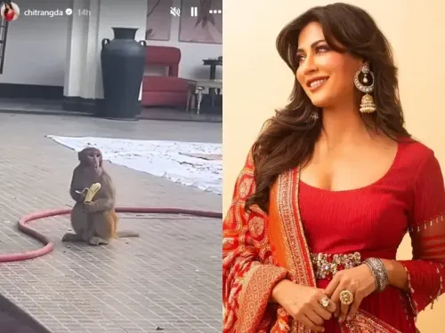 Chitrangda Singh Reveals New Set Lunch Visitor