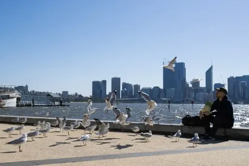 Is Climate Change Responsible for Nearly 100,000 Deaths from 2023 Heatwaves?