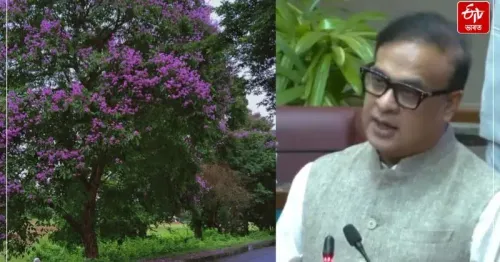 CM Assam: Khanapara-Jalukbari road to get tree-lined avenues