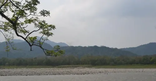CM Assam Office Highlights Manas National Park's Rich Legacy