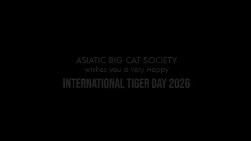 CM Fadnavis marks International Tiger Day with Asiatic Big Cat Society briefing