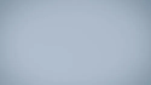 CM Fadnavis Salutes Kargil War Heroes on Vijay Diwas