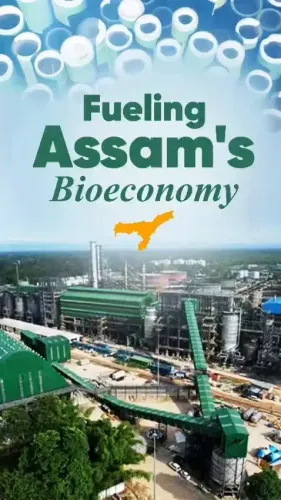 CM Himanta bets on bamboo to power Assam's bio-economy