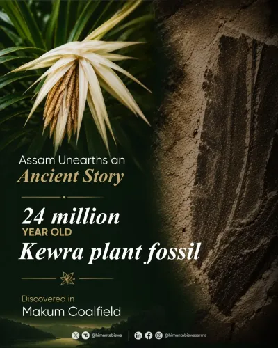 CM Himanta flags 24-million-year-old fossil find in Assam