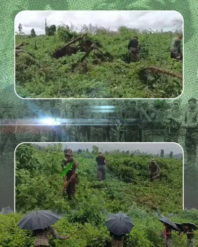 CM Himanta Launches 1.25 Lakh Sapling Drive at Behali Sanctuary