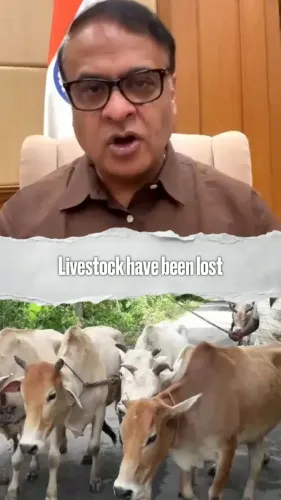 CM Himanta Promises Full Livestock, Handloom Compensation