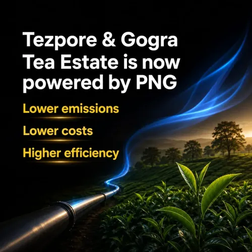 CM Himanta's Assam: Sonitpur Tea Estate Gets First PNG Link