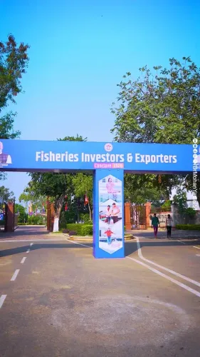 CM Mohan Yadav Launches Fisheries Conclave, Vows to Double MP's Fish Output