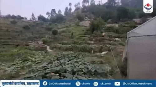 CM Office Uttarakhand highlights Bageshwar brothers' organic farming model