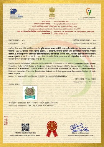 CM Patel's Gujarat wins GI Tags for Unjha Jeera and Unjha Fennel
