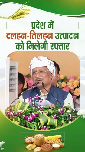 CM Sai Announces Rs 15,000 Input Aid for Pulses, Oilseeds in Chhattisgarh