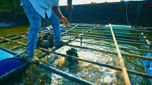 CM Sawant Highlights Goa Fish Farmer's PMMSY Success Story