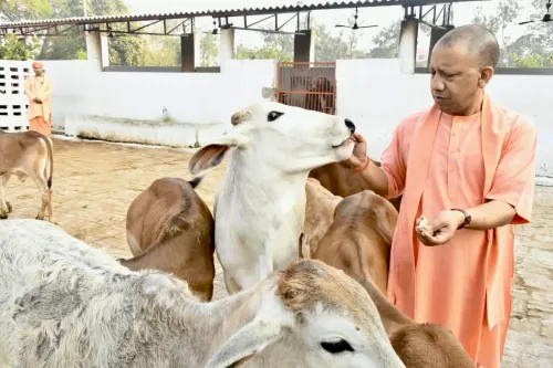 क्या सीएम योगी के नेतृत्व में प्रदेश ने 8 साल में विकास की नई लकीर खींची है, गोसेवा से बन रहे आत्मनिर्भर?