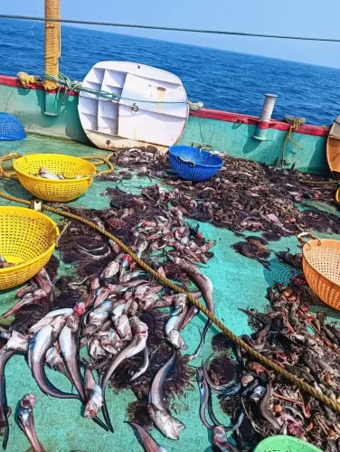 Can the CMFRI-CIFT Collaborative Study Unlock Deep-Sea Resources?