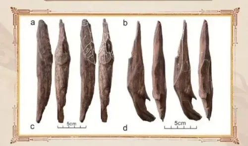 क्या सीएमजी ने वर्ष 2025 की दस सबसे बड़ी पुरातत्व खबरें जारी कीं?