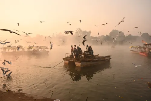 Is the cold wave in MP causing temperatures to plunge to 1.8 degrees Celsius?