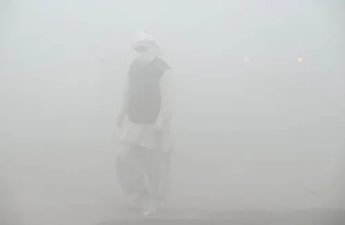 Severe Cold Wave Hits Rajasthan, Visibility Drops Below 30 Metres Due to Dense Fog