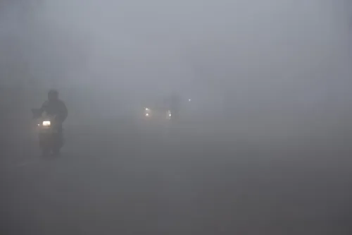 Rajasthan Faces Intensified Cold Wave; Fog Warning Issued for 14 Districts