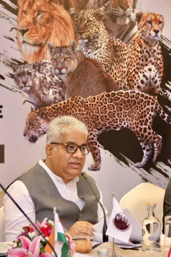 Why is collective action crucial for big cat conservation?