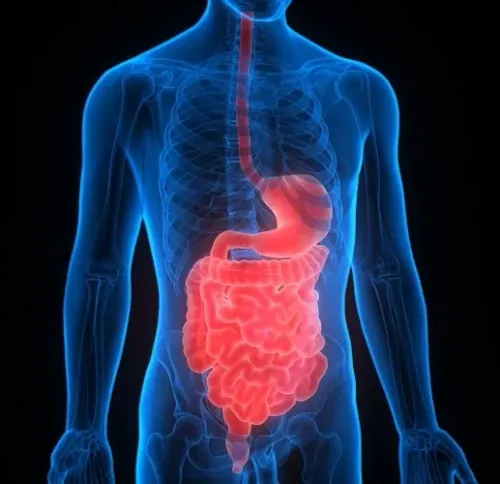 Promising Antibiotic for Inflammatory Bowel Disease