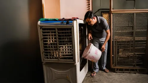 कूलर के पानी में फिटकरी डालें, बदबू और मच्छरों से पाएं तुरंत छुटकारा