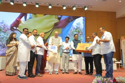 Cotton Productivity Mission: CCI procures 522 lakh quintals, ₹41,530 crore paid to farmers