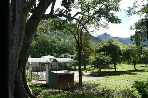 Is There a Crackdown on Illegal Homestays and Cottages in TN's Nilgiris?