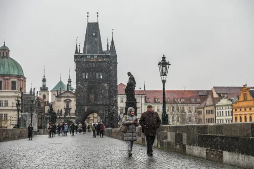 Firefighters from the Czech Republic Assist Slovakia in Containing Foot-and-Mouth Disease Outbreak