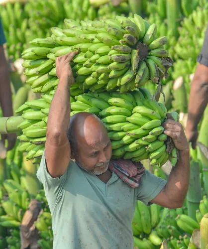 पटना: भक्त चैत छठ प्रसाद के लिए बाजार समिति में खरीदारी कर रहे हैं