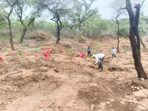 DDA plants 8.29 lakh saplings in Delhi, targets 23 lakh by mid-September 2026