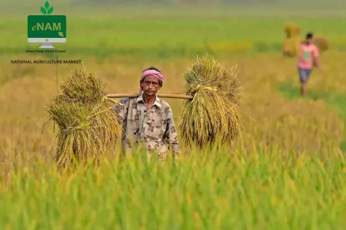 Government's e-NAM Platform Facilitates Farm Goods Deals Worth Rs 3.79 Lakh Crore