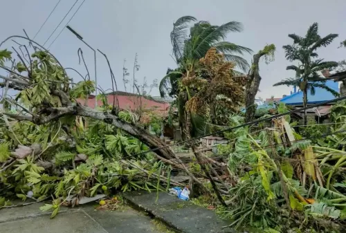 What is the current death toll from Typhoon Bualoi in Vietnam?