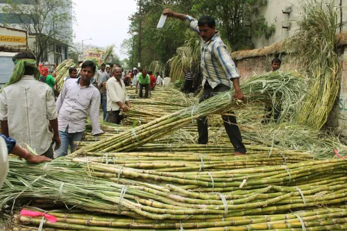 क्या दीपावली के बाद गन्ना किसानों को सरकार का उपहार मिला?
