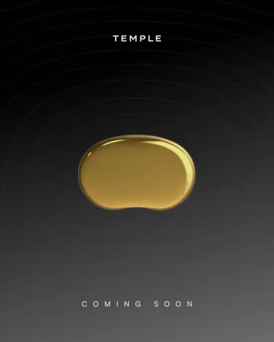 Could Deepinder Goyal's ‘Temple’ Revolutionize Brain Monitoring?