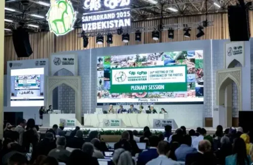 What Will Delegates Decide on Global Wildlife Trade Rules at CITES CoP20 in Samarkand?