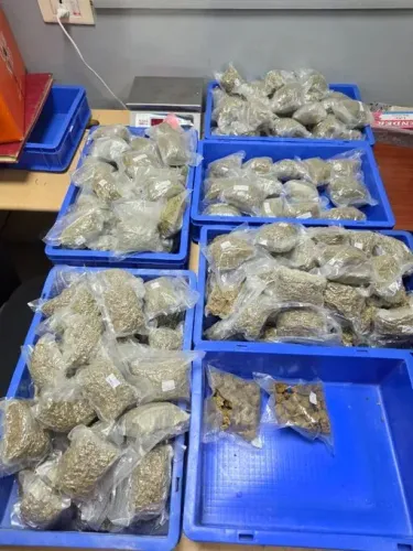 Delhi Customs seizes ₹5.38 crore hydroponic weed at IGI Airport, two held