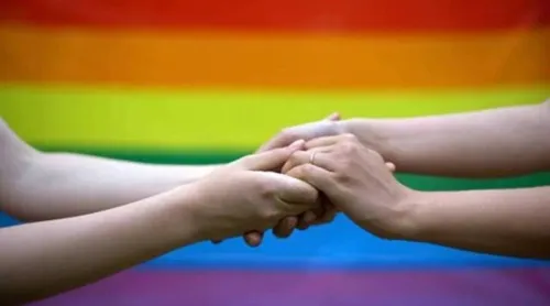 Should the Delhi HC Acknowledge Same-Sex Partners in Medical Decisions?