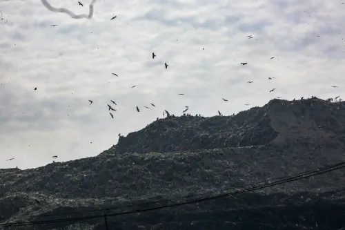 Is Delhi Really Processing Only 64% of Its Daily Waste?