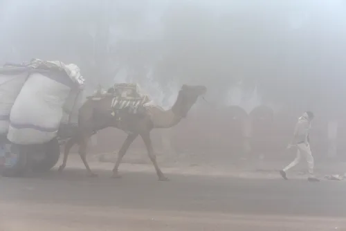 What Impact Does Dense Fog Have on Rajasthan's Visibility?