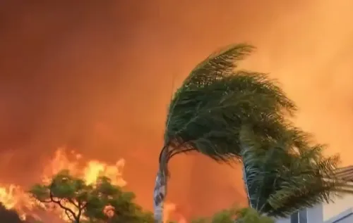 Catastrophic Wildfires Cause Extensive Damage in Los Angeles, Leading to Severe Economic Consequences
