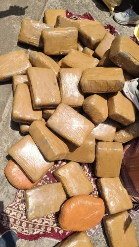 DRI seizes 522 kg cannabis worth ₹2.61 crore in Nagpur, two held