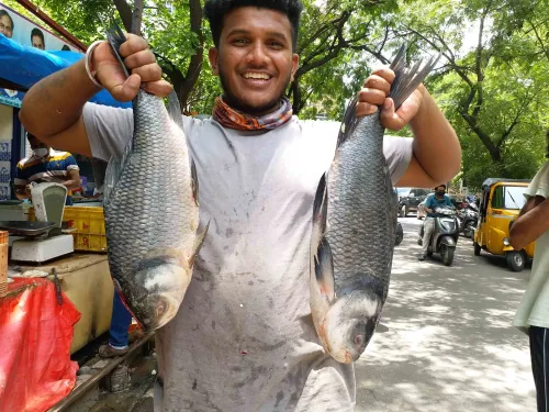 Will Drones Revolutionize Fish Transportation in Challenging Terrains?