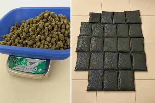 How Much Contraband Did Customs Seize at Chennai Airport?