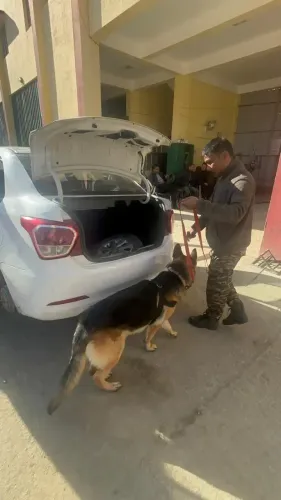 Drugs Worth Rs 29.4 Crore Seized in Mizoram: One Arrested?