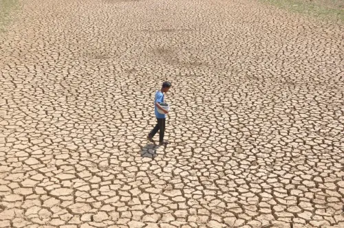 Will Tamil Nadu Experience Dry Weather Until January 21?