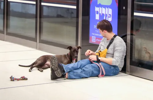 Tel Aviv: Citizens Seeking Shelter