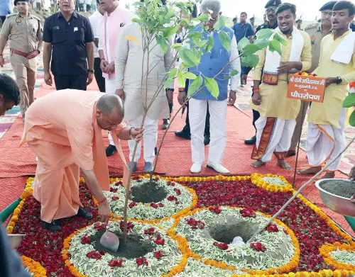 क्या योगी सरकार ने एक दिन में 37 करोड़ पौधे लगाकर इतिहास रच दिया?