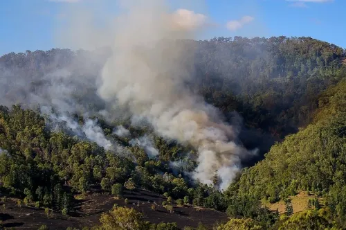 Urgent Alert Issued for Bushfire in Southeastern Australia Amidst Heatwave