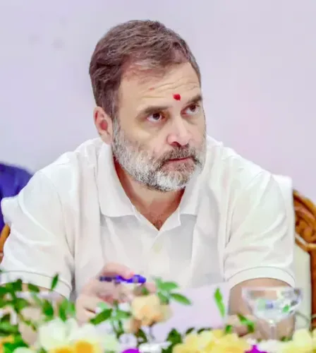 What Does Ex-US Official Think About Rahul Gandhi's Comments?